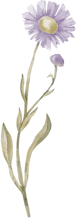 orn-gift