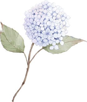orn-gift
